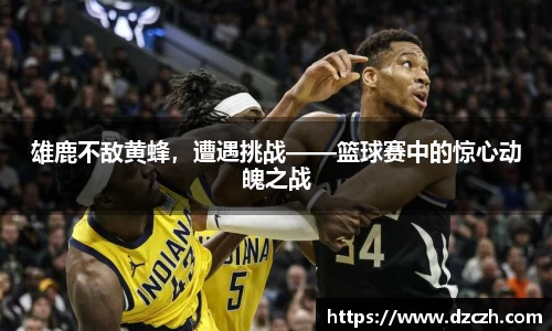 雄鹿不敌黄蜂，遭遇挑战——篮球赛中的惊心动魄之战